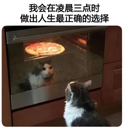 图片展示了一只灰白相间的猫咪正仰头专注地注视着烤箱玻璃门内正在烘烤的披萨，披萨色泽金黄，配料丰富。图片上方配有文字“我会在凌晨三点时做出人生最正确的选择”，通过将“人生重大选择”的严肃表述与猫咪深夜觊觎披萨的可爱场景相结合，形成强烈的反差萌，营造出幽默搞笑的效果，暗讽人们在深夜常常会做出满足口腹之欲的“重要决定”。