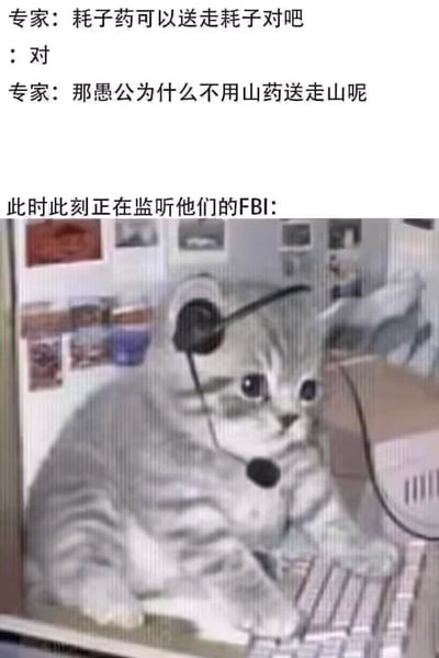 这是一张幽默梗图，上方是一段对话文字，下方是一张图片。对话中，专家先问"耗子药可以送走耗子对吗"，得到肯定回答后又问"那愚公为什么不用山药送走山呢"，利用"耗子药"和"山药"的谐音制造笑点。图片部分是一只戴着耳机、坐在电脑前的猫，配文"此时此刻正在监听他们的FBI:"，用可爱的猫咪形象来表现监听者的困惑，形成反差萌。

图片使用了谐音双关的修辞手法，将"耗子药"（用于灭鼠）与"山药"（一种食材）的发音相似性作为笑点核心，结合愚公移山的传统典故，创造出荒诞又搞笑的对话场景。