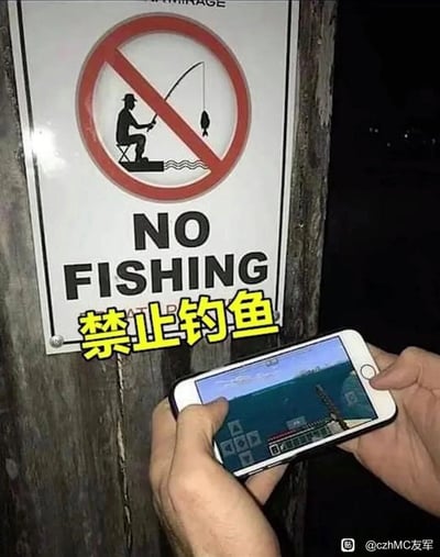 图片展示了一个挂在木柱上的“NO FISHING（禁止钓鱼）”标识，标识配有禁止钓鱼的图案，下方还添加了黄色的中文“禁止钓鱼”字样。画面下方有一双手正握持着白色手机，手机屏幕显示的是一款钓鱼类电子游戏，人物通过玩虚拟钓鱼游戏的方式，巧妙规避了“禁止现实钓鱼”的规则，是一种充满趣味的“擦边”操作，用搞笑的方式解读和规避规则，带来反差感和趣味性。