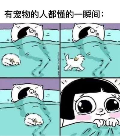 这是一张四格漫画，描绘了宠物主人的共同经历。第一格：一个人躺在床上睡觉，一只小狗蜷缩在床脚。第二格：人仍在睡觉，小狗开始在被子上走动。第三格：人继续睡觉，小狗换了个位置蜷缩。第四格：特写人的脸部，眼睛瞪得很大，露出惊讶的表情。漫画通过简单的场景展现了宠物打扰主人睡眠的有趣瞬间，引发宠物主人的共鸣。