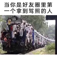 这张梗图上方配有文字“当你是好友圈里第一个拿到驾照的人”，下方是一张印度超载火车的真实照片，火车的车顶、车身各处都密密麻麻站满了人，用这种极度夸张的画面来调侃：当自己刚拿到驾照时，身边的朋友都会蜂拥而来想要蹭车，就像这挤满人的火车一样，生动又搞笑地表现出拿到驾照后被朋友“包围”求带的热闹处境。