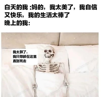 这是一张通过文字与图片结合形成强烈对比的搞笑自嘲梗图。上方文字描述“白天的我”充满自信与快乐：“妈的，我太美了，我自信又快乐，我的生活太棒了”；下方则是一具骷髅躺在床上的图片，配文“晚上的我：我太胖了，我只想躺在这里直到死去”。通过白天积极乐观与夜晚消极自我否定的巨大反差，幽默地展现了部分人在不同时段的情绪波动和自我认知差异。