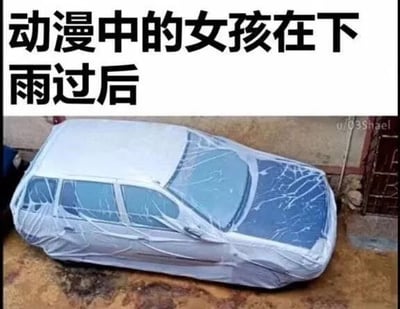 图片上方为黑色文字“动漫中的女孩在下雨过后”，下方是一张实拍照片：一辆被白色车衣覆盖的汽车，车衣表面布满不规则的深色水痕，整体形态类似动漫中女孩雨后发丝湿润、紧贴肌肤的“湿身”视觉效果。通过将日常场景中的汽车车衣水痕与动漫经典浪漫桥段进行反差联想，制造出幽默调侃的效果。
