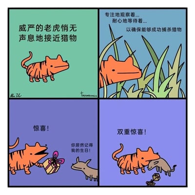这是一则四格连环搞笑反转漫画，整体剧情充满反差感：第一格营造出捕猎的紧张氛围，描绘威严的老虎悄无声息地接近猎物；第二格继续铺垫，老虎潜伏在草丛中专注观察、耐心等待，文字说明暗示它要捕杀猎物；第三格剧情反转，老虎拿出装饰精美的礼盒喊出“惊喜！”，猎物惊喜地回应“你居然记得我的生日！”，打破了捕猎的预期；第四格再次给出“双重惊喜！”的标注，老虎和猎物亲昵地靠在一起，礼盒掉落在一旁，将氛围从紧张的捕猎彻底转为温馨搞笑的生日惊喜场景，通过反差制造出强烈的笑点。