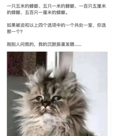 图片上半部分为文字内容，列出四个选项：一只五米的蟑螂、五只一米的蟑螂、一百只五厘米的蟑螂、五百只一厘米的蟑螂，并提问“如果被迫和以上四个选项中的一个共处一室，你选那一个？”，随后补充“刚别人问我的，我的沉默振聋发聩……”。下半部分是一张毛茸茸的灰色猫咪照片，猫咪毛发蓬松，眼睛睁大，抬头凝视，表情显得震惊和茫然，生动呼应了文字中面对选择时的无奈与错愕。整体通过幽默的假设性问题和猫咪的真实反应，营造出轻松搞笑的氛围。