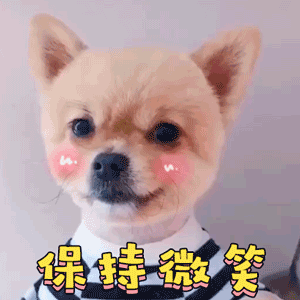 保持微笑的小狗狗动图