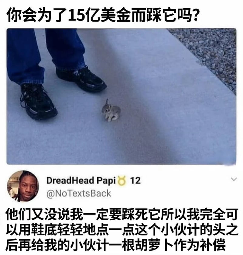 小兔子