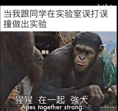 这是一张适合科研学生党自嘲的梗图，上方配文「当我跟同学在实验室误打误撞做出实验」，下方是电影《猩球崛起》里的经典角色凯撒的截图，搭配台词「猩猩 在一起 强大 Apes together strong.」，用猩猩的台词调侃自己和同学像懵懵懂懂的猩猩一样，误打误撞完成实验后产生的「联手很强」的奇妙成就感，搞笑又贴合学生做实验的真实经历。