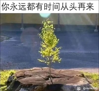 这是一张传递励志情绪的顶配底文图，画面展示了户外场景中一个被砍伐后留下的粗壮树桩，树桩的中心位置顽强地长出了一棵枝叶嫩绿、充满生机的小树苗，背景是模糊的深色地面和远处的建筑区域。图片顶部配有醒目的白色文字“你永远都有时间从头再来”，用树桩上重生的树苗作为具象化的意象，比喻人们即便经历了如同树木被砍伐般的挫折与低谷，也依然拥有重新出发、开启新旅程的机会，画面与文字相辅相成，传递出治愈且积极向上的生活态度，能够给处于困境中的人带来鼓励。