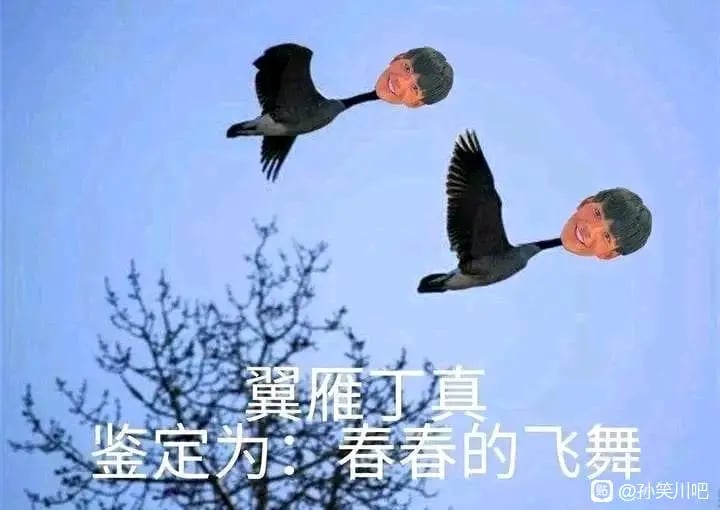 一眼丁真
