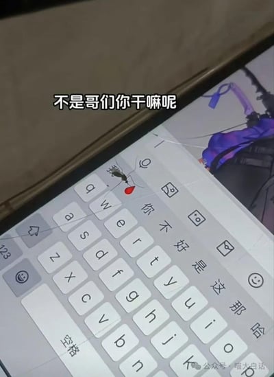 这是一张手机屏幕的实拍图，一只吸饱了血、腹部通红的蚊子停在手机输入法键盘的“我”字按键上，手机屏幕带有细微裂痕，画面上方配有吐槽文字“不是哥们你干嘛呢”，用拟人化的调侃语气质问蚊子的迷惑行为，精准戳中了夏日被蚊子骚扰的人的情绪，搞笑又真实，没有双关或谐音梗。