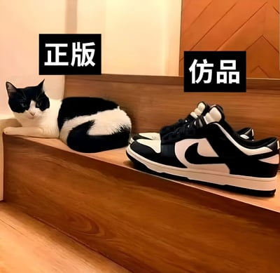 一只黑白相间的猫咪和一双黑白配色的耐克运动鞋并排放置在木质架子上，上方分别标注'正版'和'仿品'字样，幽默地暗示猫咪才是这种经典配色的原创者，而运动鞋只是模仿者。