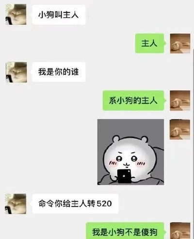 这是一张聊天对话形式的搞笑梗图，通过小狗与主人的对话展开。上方左侧显示小狗头像和文字"小狗叫主人"，右侧主人头像回应"主人"。接着小狗问"我是你的谁"，主人回答"系小狗的主人"。随后小狗提出"命令你给主人转520"，最后底部中央的卡通角色（一个带有红晕的白色卡通形象，手持手机）说出点睛之笔："我是小狗不是傻狗"，用幽默方式拒绝了转账要求。图中520是网络流行语，谐音"我爱你"，常被用于表达爱意或索要红包转账。