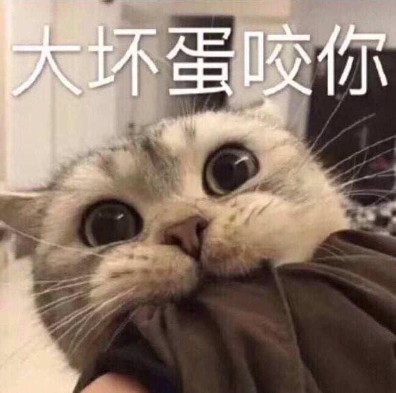 大坏蛋咬你 - 猫咪表情包