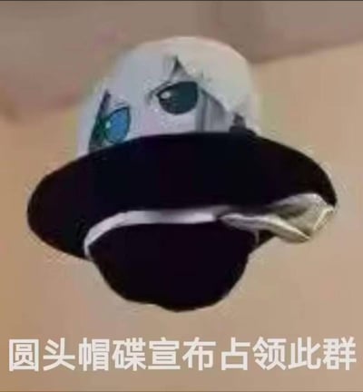 图片中展示了一顶经过修改的圆顶帽子，帽子顶部被添加了一张带有惊讶表情的动漫风格面孔，有着大大的蓝色眼睛和一些头发细节。帽子主体为白色，帽檐为黑色并带有白色装饰带。帽子似乎悬浮在一个简单的背景前，图片底部有文字“圆头帽碟宣布占领此群”。