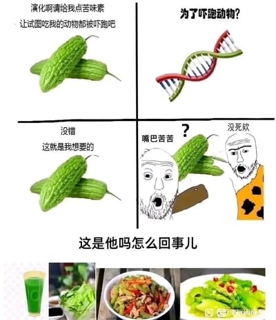 这是一幅由四格漫画加底部美食展示组成的趣味梗图，以苦瓜的演化故事为核心制造反差笑点。第一格中，苦瓜向“演化”请求赋予自己苦味素，目的是让想吃它的动物被苦味吓跑，以此生存下去；第二格用DNA双螺旋结构配文，对这个演化方向发出疑问；第三格中，苦瓜表示这正是自己想要的结果，但旁边的两个卡通原始人，一个尝了苦瓜后疑惑“嘴巴苦苦？”，另一个惊讶地发现“没死欸”，打破了苦瓜的预期；最后底部展示了四种不同的苦瓜吃法，包括苦瓜汁、凉拌苦瓜、清炒苦瓜等，配文“这是他吗怎么回事儿”，吐槽苦瓜演化出苦味本来是为了躲避被食用，结果反而被人类开发出各种美食，完全违背了它的初衷，用生物演化和人类饮食文化的反差制造搞笑效果。