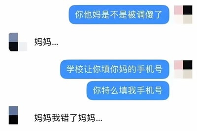 这是一张聊天记录风格的梗图，展示了一位家长发现孩子在学校表格上错误填写了自己（爸爸）的手机号而非妈妈的手机号后的愤怒反应。孩子最初胆怯地呼唤"妈妈..."，随后在家长质问"学校让你填你妈的手机号，你特么填我手机号"后道歉"妈妈我错了妈妈..."。