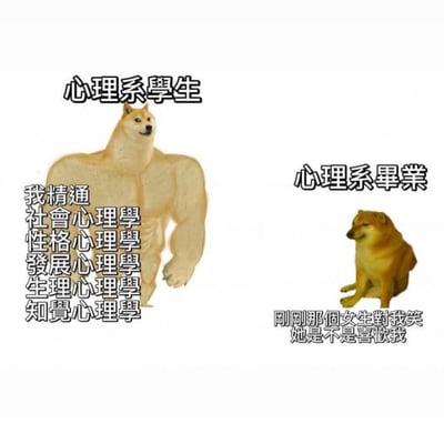 这张梗图通过左右对比的方式，幽默展示了心理学学生与毕业生的反差。左边是一只肌肉发达的柴犬，上方标注"心理系學生"，旁边文字列出"我精通社會心理學、性格心理學、發展心理學、生理心理學、知覺心理學"，展现出理论知识丰富的形象；右边则是一只普通坐姿的柴犬，标注"心理系畢業"，下方文字写着"剛剛那個女生對我笑 她是不是喜歡我"，形成了专业知识丰富但实际社交理解简单的有趣对比。