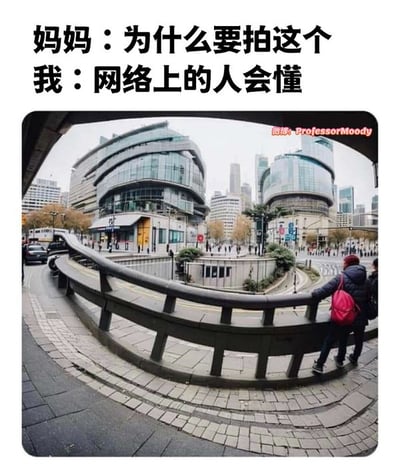 这是一张广角镜头效果下户外街景的网络梗图，上方配有“妈妈：为什么要拍这个 我：网络上的人会懂”的对话文字。下半部分是道路护栏因广角畸变而极度弯曲，有一人靠着护栏，整体画面带有魔性幽默风格。图片核心梗义在于“只有互联网圈层会明白这类看似无聊但很魔性的画面”。
