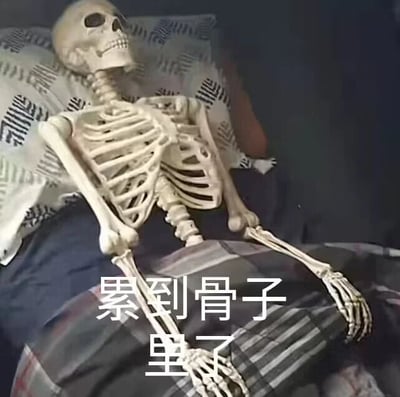 一张幽默梗图，画面中一具骷髅骨架躺在铺有格子图案被子的床上，头枕着带有几何纹样的枕头，呈现出放松躺卧的姿态。图片下方叠加白色文字“累到骨子里了”，通过骷髅本身即是“骨头”的特性，双关表达“极度疲惫”的状态，用夸张的视觉形象幽默化日常生活中的劳累感受。