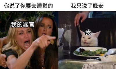 这是一张由两个经典网络梗图拼接而成的搞笑创作图，左边是出自《比弗利娇妻》的愤怒指责的女性，被标注为“我的器官”，上方配文“你说了你要去睡觉的”，表现出身体器官对主人该睡不睡的强烈不满；右边是知名的“沙拉猫”梗图，被标注为“我”，上方配文“我只说了晚安”，代表嘴硬的熬夜者。整张图通过夸张的情绪对比，幽默地调侃了当代人普遍存在的“嘴上说晚安，实际熬夜不睡觉”的行为，精准戳中了很多人的生活日常，用轻松搞笑的方式展现了熬夜人群的真实状态。
