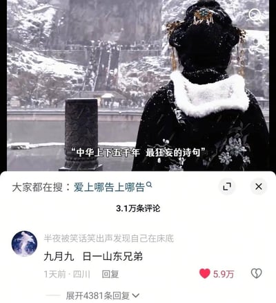 这张图是图文结合的社交平台拼接截图，上半部分为雪天场景，一名身着带白色毛领的黑色古风服饰、头戴华丽发饰的人物背对镜头站立，面前是积雪覆盖的石窟类景观，配文标注“中华上下五千年 最狂妄的诗句”；下半部分是短视频平台的评论区界面，显示大家都在搜关键词“爱上哪告上哪告”，总共有3.1万条评论，热评用户将唐代王维的古诗《九月九日忆山东兄弟》恶意断句为“九月九  日一山东兄弟”，玩低俗谐音梗，该评论获赞5.9万，下方还可展开4381条相关回复。