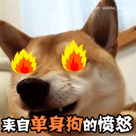 这是一张动态GIF图，展示了一只柴犬的四个关键帧画面。柴犬双眼被P上了燃烧的火焰特效，表情逐渐变得凶狠，嘴巴微张露出牙齿，仿佛在怒吼。每帧下方都配有文字“来自单身狗的愤怒”。动态效果中，火焰会轻微闪烁，增强愤怒的视觉冲击。图中使用了“单身狗”这一网络流行语（谐音双关，既指字面的狗，也指单身人士），通过柴犬愤怒的表情幽默地表达了单身人群可能存在的自嘲或对秀恩爱的调侃情绪。