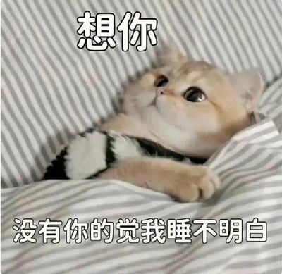 图片中是一只橘色猫咪躺在条纹床单上，仰着头睁着大大的眼睛，表情看起来既无辜又带着一丝期待。图片上方有文字“想你”，下方有文字“没有你的觉我睡不明白”，整体营造出一种可爱又充满思念情绪的氛围，常用于表达对他人的想念。