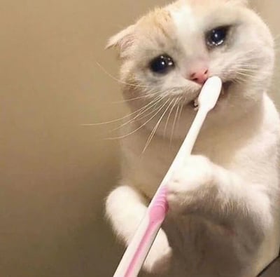 一只白色带有浅棕色毛发的猫咪，正用两只前爪捧着一把粉色手柄的牙刷认真地刷牙。猫咪有着大大的蓝色眼睛，表情专注，胡须清晰可见。背景是单一的浅棕色墙面，突出显示了猫咪刷牙的可爱动作。这张图片捕捉到了宠物模仿人类日常行为的有趣瞬间，展现了猫咪的聪明和可爱。