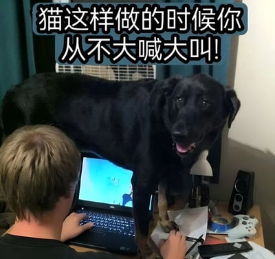 图片展示了一只黑色拉布拉多犬站在凌乱的书桌上，前爪踩在纸张上，嘴巴张开露出舌头，表情看起来很开心。书桌前有一个金发的人正在使用笔记本电脑，电脑屏幕上显示着游戏画面。图片上方有一行醒目的文字：'猫这样做的时候你从不大喊大叫!'，通过对比人们对猫和狗破坏行为的不同反应制造幽默效果。