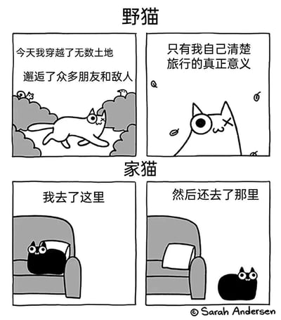 这幅四格漫画对比了野猫和家猫的生活方式：野猫描绘自己穿越土地、邂逅朋友敌人并思考旅行意义，家猫则简单分享自己在沙发附近的移动。通过幽默的反差展现两种猫截然不同的日常状态。