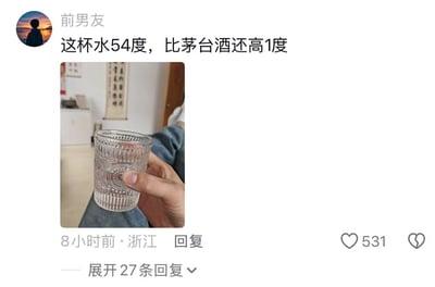 社交媒体评论截图，用户“前男友”发布一张手持透明玻璃杯的照片，并配文“这杯水54度，比茅台酒还高1度”，以夸张手法调侃水温。图片下方显示发布于8小时前·浙江，获531个点赞，27条回复。背景可见室内环境及书法卷轴装饰。
