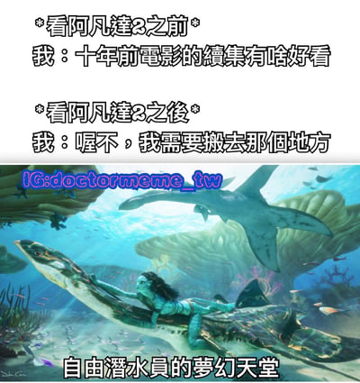 这张梗图通过上下对比的形式，展示了观看《阿凡达2》前后的态度转变。上方文字描述观影前的不屑："十年前电影的续集有啥好看"，下方则是观影后的惊叹："喔不，我需要搬去那个地方"。图片下半部分是《阿凡达2》中的水下场景，一位纳美人正骑在色彩斑斓的海洋生物上，周围是梦幻般的海底世界，底部文字标注"自由潜水员的梦幻天堂"，幽默地表达了观众被电影中美丽水下世界震撼的感受。