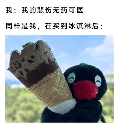 这是一张图文结合的搞笑生活梗图，上方文字分为两段，第一段以“我：我的悲伤无药可医”塑造出人物陷入极度低落、悲伤难以缓解的状态；第二段“同样是我，在买到冰淇淋后：”引出下方配图，图中是《PINGU企鹅家族》的黑色毛绒衍生角色，它双眼眯起，一脸满足地抱着一支带有巧克力脆皮的巧克力口味冰淇淋甜筒，背景是晴朗的蓝天白云与绿植，通过前后情绪的强烈反差，生动调侃了冰淇淋这类美食对低落情绪的强大治愈效果，精准贴合当代年轻人依靠美食驱散坏心情的日常状态，充满生活趣味。
