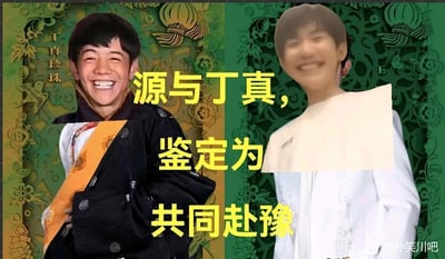 图片为左右拼接的P图作品，左侧是丁真穿着传统服饰的照片，右侧是王源的照片，两人均面带笑容。背景为绿色传统花纹图案，中间有黄色大字“源与丁真，鉴定为共同赴豫”。整体风格带有幽默调侃意味，将两位公众人物的形象拼贴在一起。