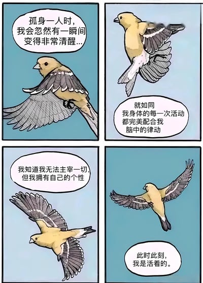四格连环漫画，主角为一只黄色小鸟，背景为浅蓝色。第一格中小鸟展翅飞行，配文“孤身一人时，我会忽然有一瞬间变得非常清醒...”；第二格小鸟继续飞行，文字为“就如同我身体的每一次活动都完美配合我脑中的律动”；第三格小鸟保持飞行姿态，说道“我知道我无法主宰一切，但我拥有自己的个性”；第四格小鸟舒展翅膀，总结“此时此刻，我是活着的。” 漫画通过小鸟的内心独白，细腻表达了独处时的自我觉醒与对存在意义的感知。