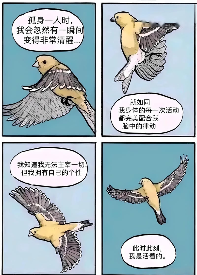小鸟