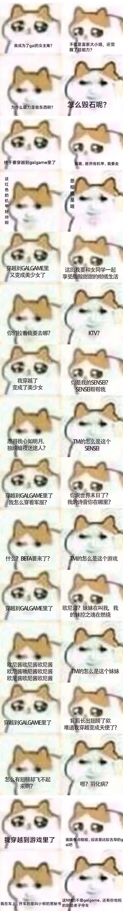 这是一组用卡通化mur猫（流泪猫猫头）制作的连环梗图，模拟了多次穿越进Galgame（美少女恋爱游戏）的期待与巨大落差：
1. 以为成为gal女主觉醒超能力，结果能力是偷东西，还疑惑“怎么毁石”；
2. 期待穿越galgame玩机甲爽文，看到红色机甲兴奋，结果是EVA相关的压抑剧情（“恶相抵”是“碇真嗣”的空耳）；
3. 期待和美少女同学过“柑橘生活”（橘里橘气的百合日常），结果被拉去KTV；
4. 穿越成美少女求助SENSEI（老师），结果是自己不想面对的老师；
5. 穿成军礼服找恋人诗音，结果进入《Muv-Luv》的残酷世界，要面对外星生物BETA；
6. 期待妹控甜系剧情，结果妹妹是一直复读“欧尼酱”的烦人精；
7. 以为长翅膀成了天使，结果是患上羽化病的猎奇剧情；
8. 以为是古早恋爱gal，结果进入《白色相簿2》的胃疼三角恋场景。
整组图用猫猫头从期待到愤怒失望的表情反差，精准戳中Galgame玩家对不同游戏类型的认知，搞笑又充满共鸣。