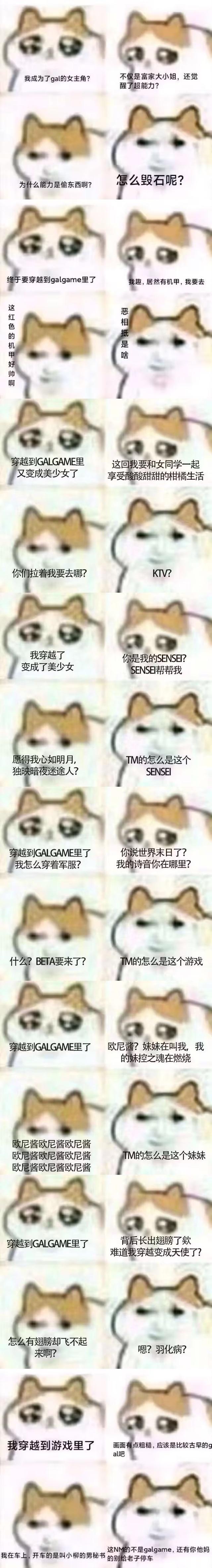 mur猫表情包