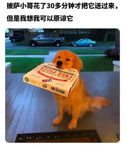 图片展示了一只金毛犬坐在木质门廊上，嘴里叼着一个中号披萨盒。狗狗表情平静，背景是郊区的街道和停放的车辆。图片上方配有文字：'披萨小哥花了30多分钟才把它送过来，但是我想我可以原谅它'，通过可爱的狗狗形象幽默化解了披萨配送迟到的不满情绪。