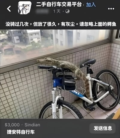 这是一张二手自行车交易平台的截图，展示了一辆白色捷安特自行车，车把和车架上趴着一条鳄鱼。卖家配文称“没骑过几次，但放了很久，有灰尘。请忽略上面的鳄鱼”，价格标注为3000美元，地点为新店。图片通过在自行车上添加鳄鱼这一荒诞元素制造幽默效果，属于网络搞笑迷因。