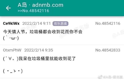 这张图是A岛adnmb.com论坛上关于情人节的两条搞笑自嘲评论截图。评论A说“垃圾桶都能收到花而你不会”，通过将“收到花”与“垃圾桶”形成对比，自嘲情人节没人送花；评论B机智接梗，说“我呆在垃圾桶里就能收到花了”，进一步自嘲，并配合日式颜文字强化幽默无奈氛围。全图风格年轻化带点丧气，尤其适合单身在节日中自黑。存在双关与自我贬低娱乐梗，调侃了送花最后也可能被丢进垃圾桶的现实。