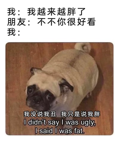 这是一张充满趣味的网络梗图，通过三段对话搭配一只巴哥犬的实拍照片，还原了日常中朋友间的搞笑误会场景：当“我”向朋友吐槽自己越来越胖时，朋友误以为“我”在因外貌自卑，连忙安慰“我很好看”，而“我”则较真地反驳，强调自己只是在说发胖这件事，和外貌无关。图中的巴哥犬圆睁着眼睛，表情委屈又带着较真感，完美契合了“我”被误解后的情绪，用可爱的动物形象放大了这段对话的搞笑效果，精准戳中了人们在身材话题上的日常自嘲，以及朋友间因思维偏差产生的有趣互动，很容易引发网友共鸣，常被用来调侃类似的对话误会场景。