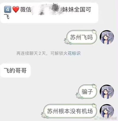 这是一段微信聊天记录截图，对方以“妹妹全国可飞”为宣传，询问者特意询问“苏州飞吗”，对方不假思索回复“飞的哥哥”，询问者立刻拆穿“骗子”，并点明“苏州根本没有机场”，利用地域常识戳破虚假宣传，对话简洁充满反差笑点，中间还有微信的“再连续聊天2天，可解锁火花标识”的系统提示，整体氛围轻松戏谑，用来调侃这类虚假服务。