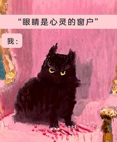 这是一张搞笑情绪梗图，上方配文通用表述“眼睛是心灵的窗户”，下方标注“我：”并搭配一只风格化绘画的黑色猫咪。猫咪整体为黑色毛发，眉头紧皱，黄色的眼神里充满了怨念与不悦，生动地对应了“我”的心灵状态，通过这种图文结合的方式，幽默地表达出当下内心的烦躁、不满等负面情绪，利用反差感制造搞笑效果，很容易引发有类似情绪的人的共鸣。