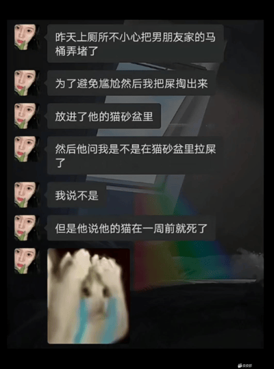 这张图片讲述了一位女生去男友家时，意外把马桶弄坏后，为了掩盖自己的“罪行”，竟把粪便捞出并扔进了男友已故猫的猫砂盆里。男友发现猫砂里有便便时问她是否做了什么，但女生否认了。最后男友补刀："我的猫一周前就死了"。配图是一只捂头痛哭的猫咪表情，极度社死和尴尬。

本梗图涉及搞笑、社死、乌龙事件，结局有明显反转，体现了意外和误会导致的窘境。

没有谐音梗，但含有反转和强烈的尴尬情绪。