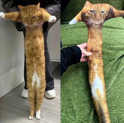 图片分为左右两栏，左侧显示一只橘猫被人用手抓住前爪和身体，身体呈现出不自然的超长拉伸状态；右侧显示一个与左侧橘猫外观相同的长条形玩偶被人拿在手中。这种夸张的拉伸效果创造出幽默的视觉对比。