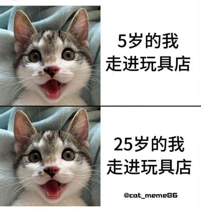 这是一张上下分栏的对比类宠物梗图，上下两张图采用了同一只真实猫咪的照片：猫咪躺着，眼睛圆睁，嘴巴大张露出牙齿，呈现出极度兴奋惊喜的神态。上图搭配文字“5岁的我 走进玩具店”，下图搭配文字“25岁的我 走进玩具店”，通过相同的画面和不同年龄的文案，调侃了人们对玩具的喜爱不会随着年龄增长而消退，不管多大年纪，走进玩具店时都会像孩子一样兴奋，引发大众关于童年喜好与成年心态的共鸣，内容搞笑又治愈。