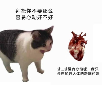 这是一张搞笑合成表情包，左侧是网络知名的mur歪脸猫，它的表情呈现出别扭、嘴硬的神态，侧头看向右侧；上方配文“拜托你不要那么容易心动好不好”，像是外界的提醒或是理智的吐槽。右侧是一张真实的人体心脏解剖图，下方配文“才...才没有心动呢，我只是在加速人体的新陈代谢”，将心脏拟人化，用嘴硬的借口掩饰心动的真实心情。整张图通过拟人化的方式，把心动却不肯承认的反差感表现得淋漓尽致，搞笑又贴合很多人在心动时嘴硬的真实状态，十分有共鸣感。