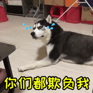 委屈的哈士奇：你们都欺负我